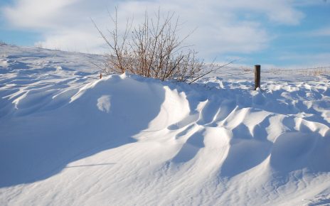 Cold Snap Brings NVN Community to Halt
